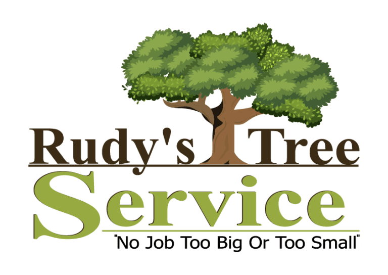 Tree Service in Dallas, TX Call Rudy’s Tree Service for a Quote