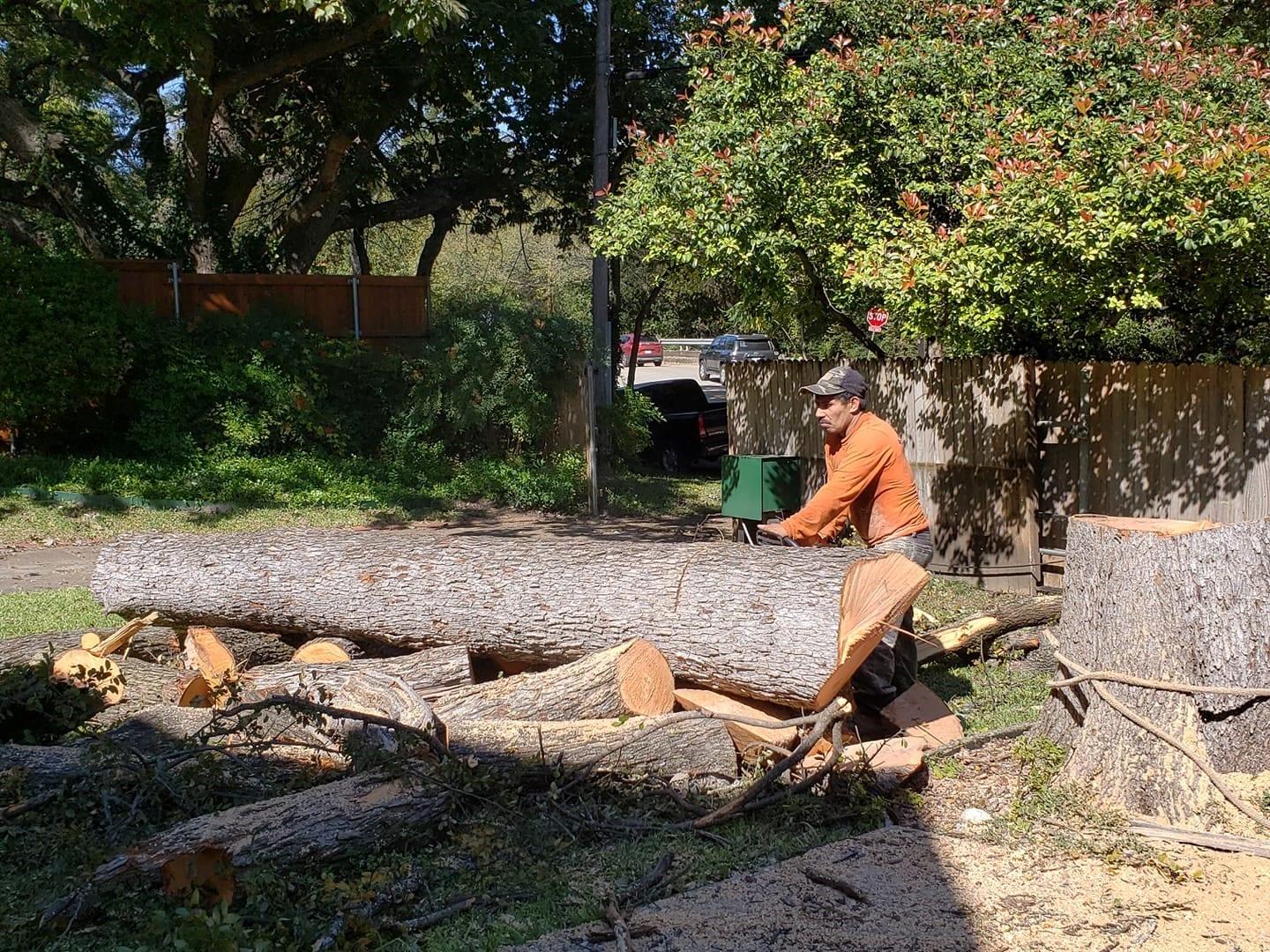 Trust in Our Emergency Tree Removal in Garland, TX