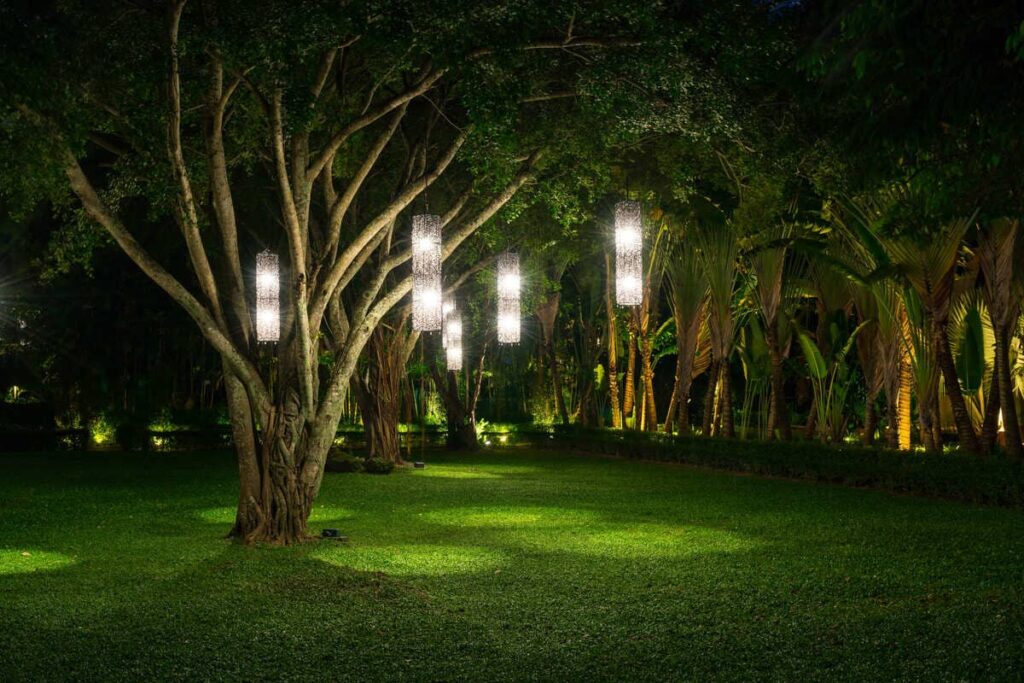 The Art of Outdoor Lighting for Trees