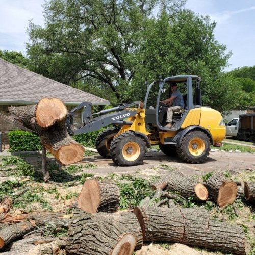 Tree Service in Garland, TX