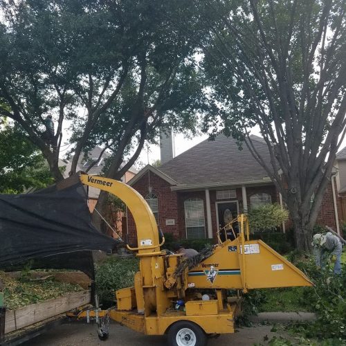 Tree Service in Dallas, TX | Call Rudy’s Tree Service